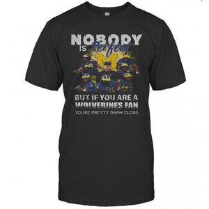 Nobody Is Perfect But If You Are A Michigan Wolverines Fan T-Shirt